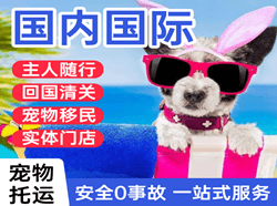 丹东航空托运国际宠物托运 【国